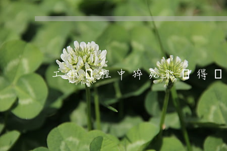 工作過程中猝死能獲得賠償？